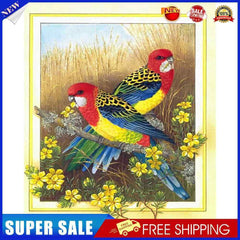 #A Flower Bird Oil Paint By Numbers Kit DIY Acrylic Painting on Canvas Frameless