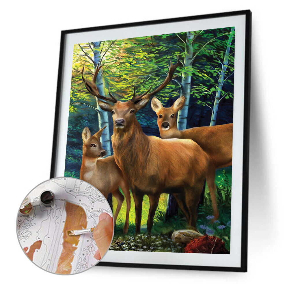 #A Woods Animal Oil Paint By Numbers Kit DIY Acrylic Painting on Canvas Framel